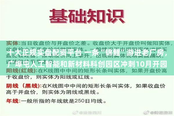 十大正规实盘配资平台 一条“锦鲤”游进老厂房，广埠屯人工智能和新材料科创园区冲刺10月开园