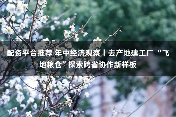 配资平台推荐 年中经济观察丨去产地建工厂 “飞地粮仓”探索跨省协作新样板